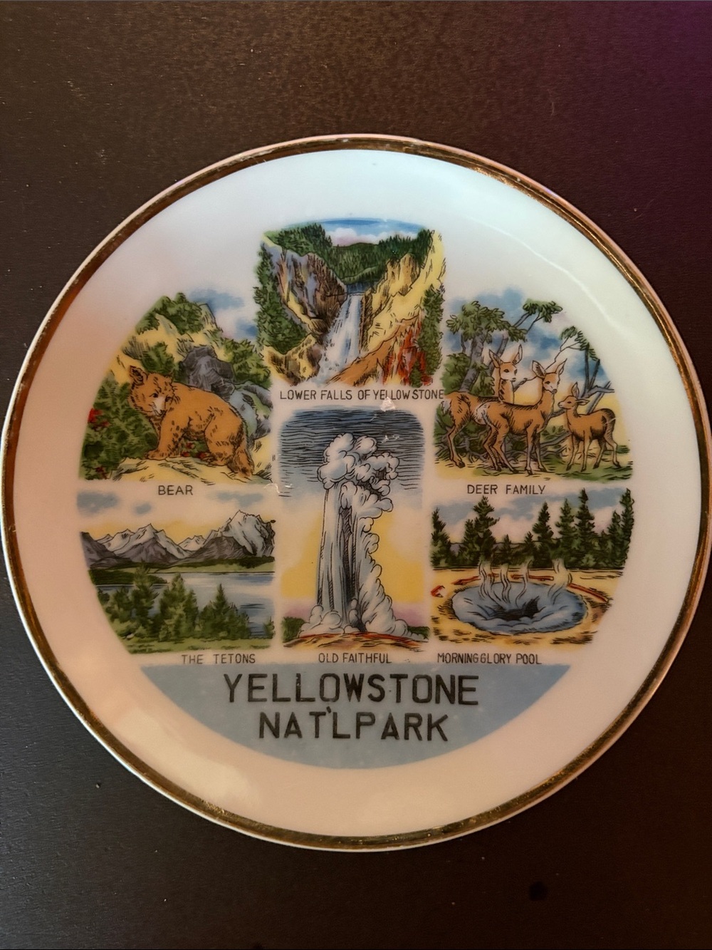 Vintage Yellowstone National Park Decorative Ceramic Small Plate Gold Rim